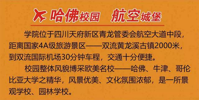 四川东星航空职业学院,成都市东星航空旅游职业学院