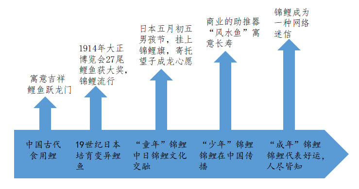 前方高能，一波锦鲤向你游来！好运？安慰剂？惊喜？陷阱？