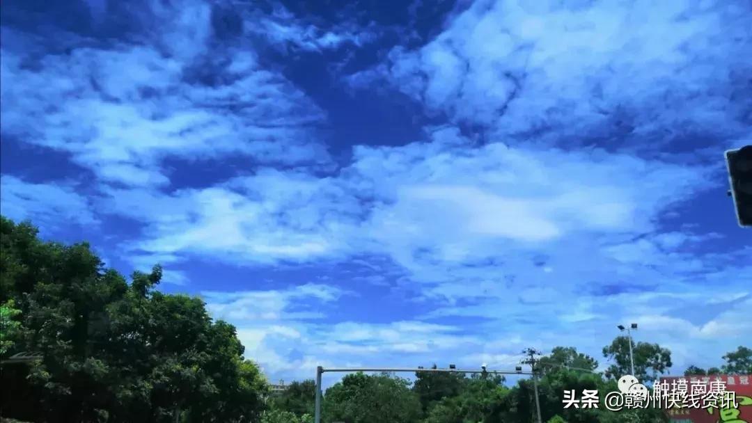 南康区为什么不是赣州中心城区,南康蓝康