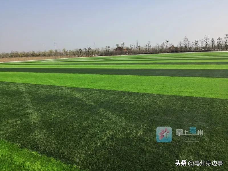 亳州社会足球场,亳州林拥城足球场