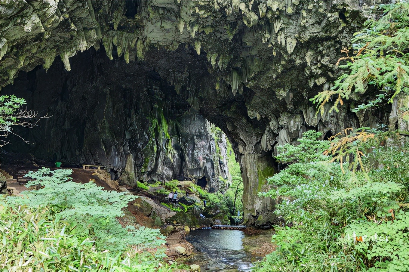 莲花佛国池州,九华山莲花佛国图片