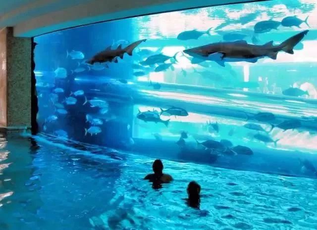 富豪的生活是怎样的,富豪的生活就是这样简单枯燥