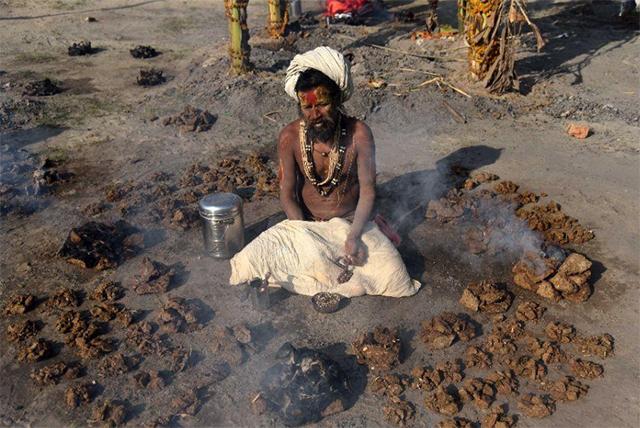 印度掏粪工死于什么病,印度掏粪工死亡率