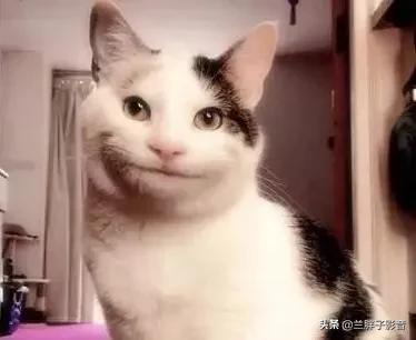 哆啦a梦道具现在有吗,哆啦a梦最好用的几个道具