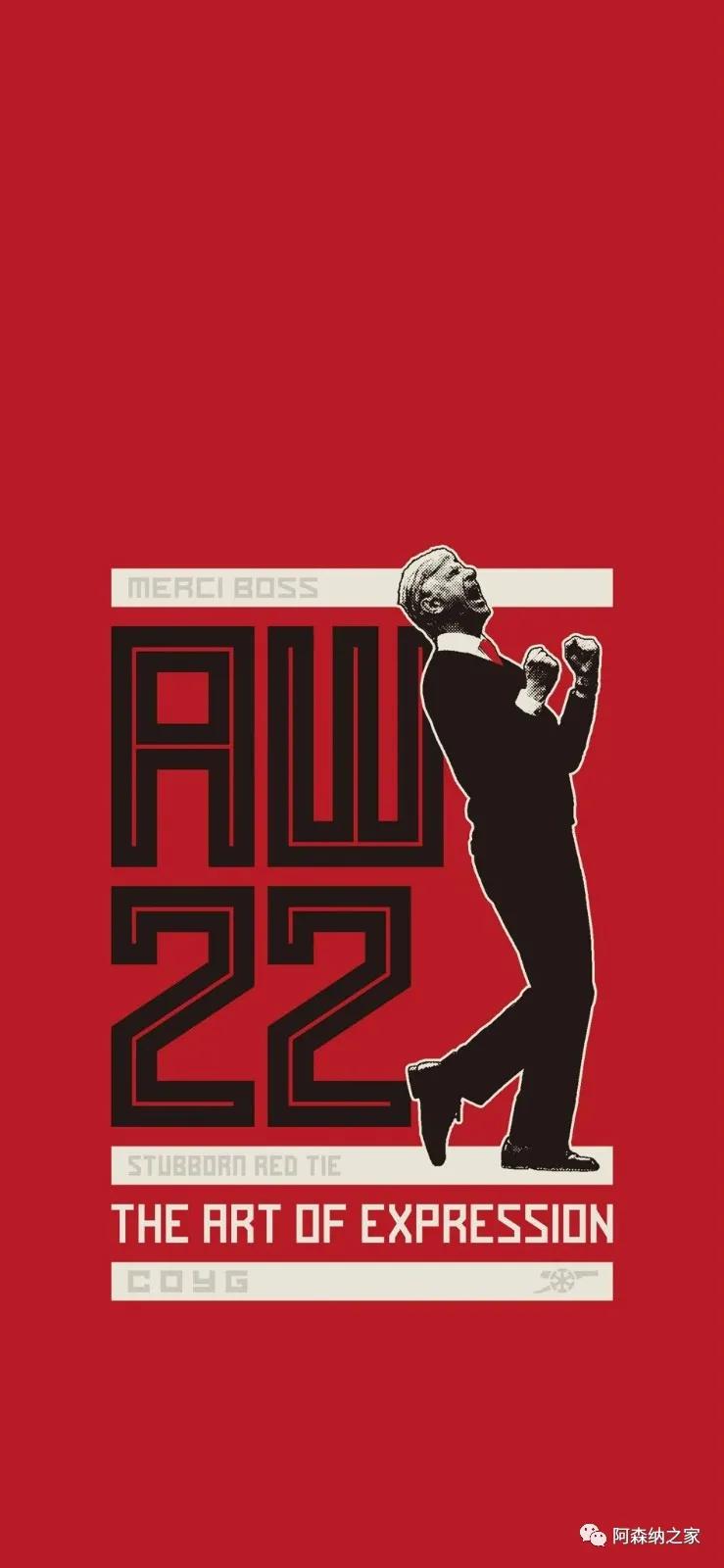 温格被罚上看台高清壁纸,温格高清壁纸4k全屏