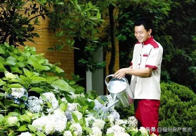 幸福的旅程完整版电视剧,幸福的旅程从万科出发