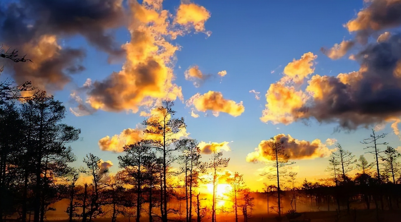 目前爱沙尼亚现状,揭秘爱沙尼亚