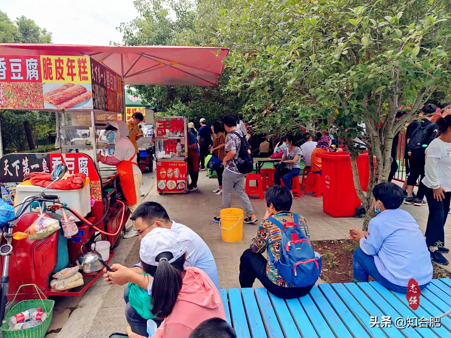 合肥秋季旅游攻略,国庆合肥市内游玩景点推荐