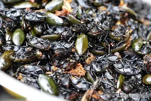 邓紫棋吃马来西亚美食,邓紫棋推荐香港美食