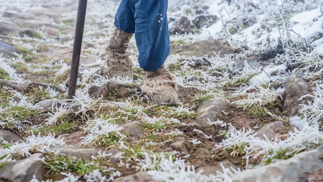 飞鸟和蝉是中国原创歌曲吗,《飞鸟和蝉》原唱