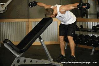 最高效的健身房一周训练计划,新人健身房健身一周训练计划