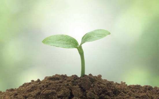 南洋迪克超级工厂图片,南洋迪克工厂行活动