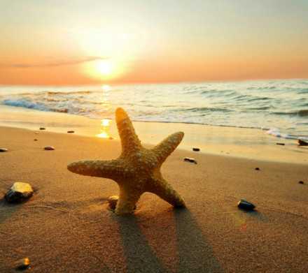 鸡毛蒜皮与毛蒜皮,鸡毛蒜皮与蒜皮