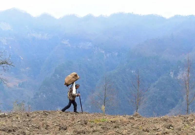 米仓古道文化,米仓古道简介