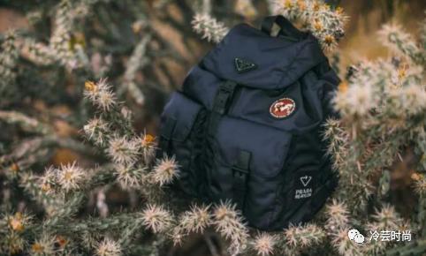 nike企业发展规划,耐克的企业运营战略