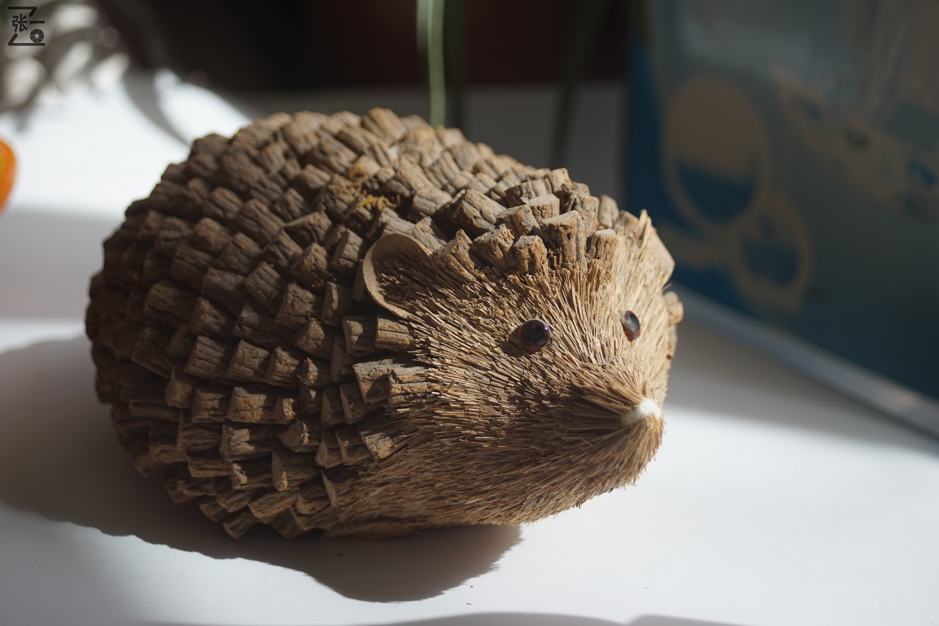 海鸥df300相机是黑白还是彩色,海鸥df300相机