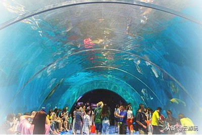 青岛旅游攻略必去十大景点示意图,青岛最适宜旅游的景点有几个