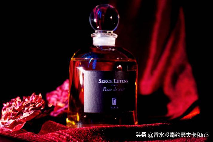 芦丹氏荔枝玫瑰,芦丹氏暗夜玫瑰