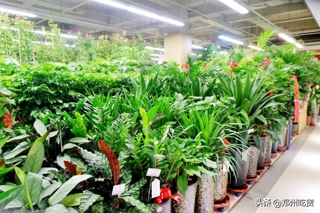 郑州哪个批发市场最便宜,最新最全郑州批发市场一览表