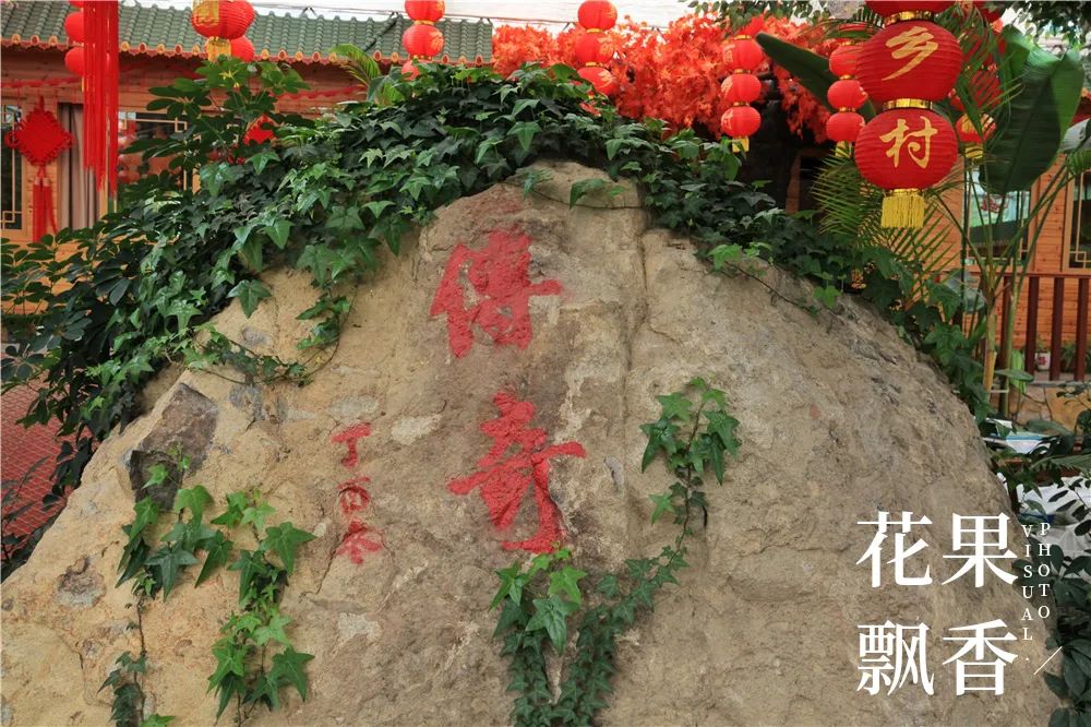 一个农村姑娘的创业经历,一个女农人的创业故事