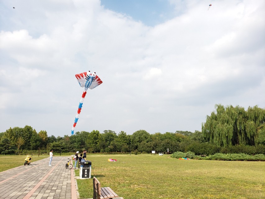 北京适合带娃遛狗的公园推荐,北京适合带娃溜达的公园