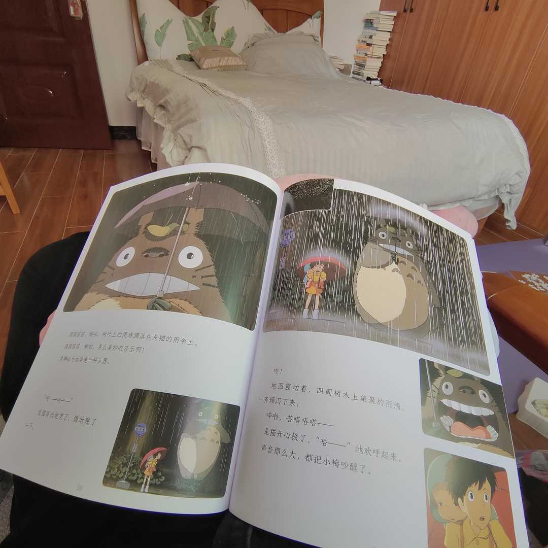 龙猫为何打动人,龙猫一蹦就下雨