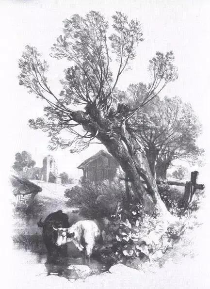 风景速写1000例临摹图高清,炭笔速写风景初学者图片教程