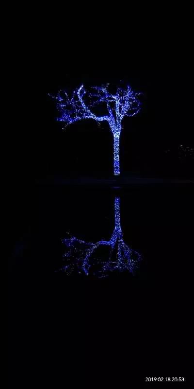 手拍世界,手拍世界近期作品