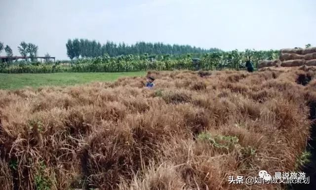 亲子农乐园投资,亲子农乐园经营模式