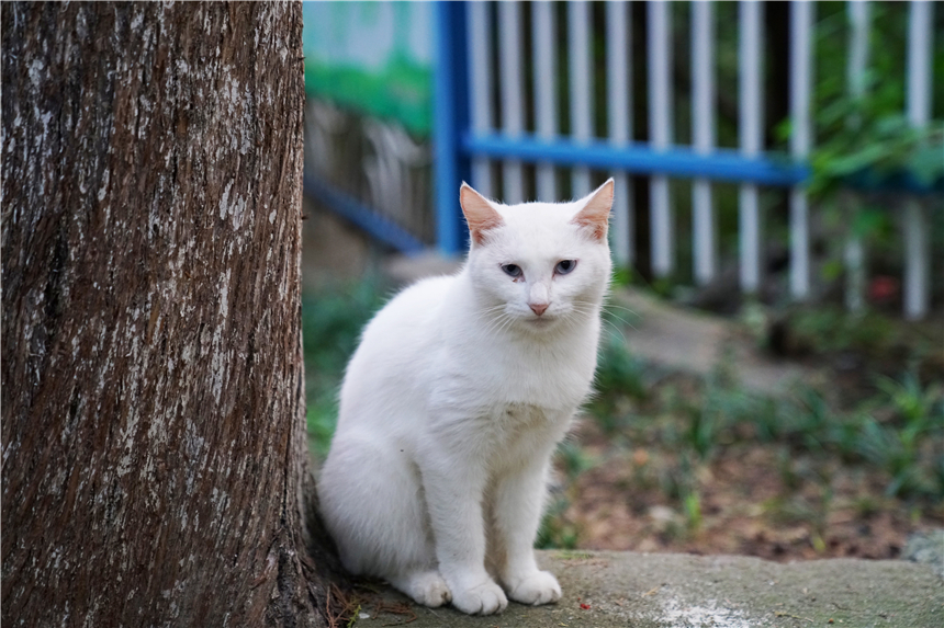 淮北乾隆湖有什么好玩的,淮北千龙湖公园有什么好的