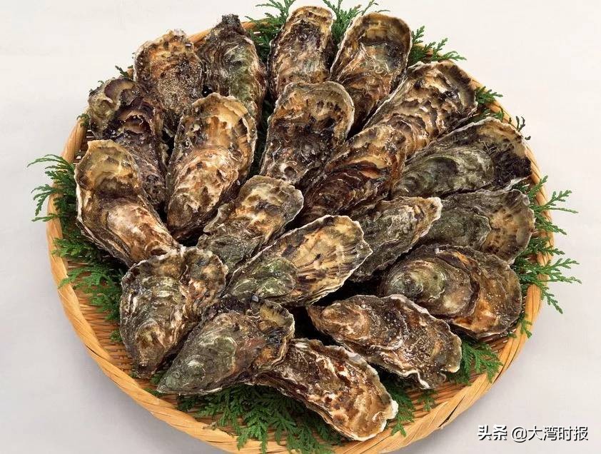 姹熷啺,姹熷啺鍟ら厭骞垮満