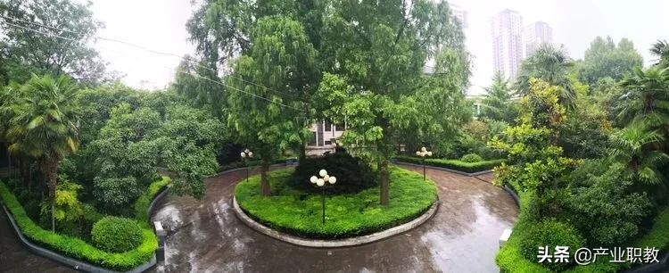 西安莲湖前十名好的高中,西安高考示范高中排名