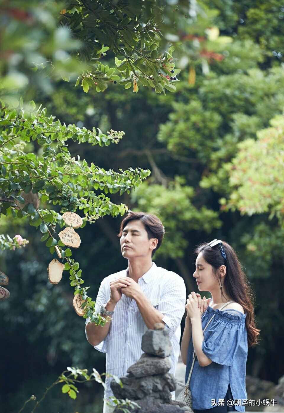 南侨机工英雄传电视剧好看吗,南侨机工英雄传42集剧情介绍