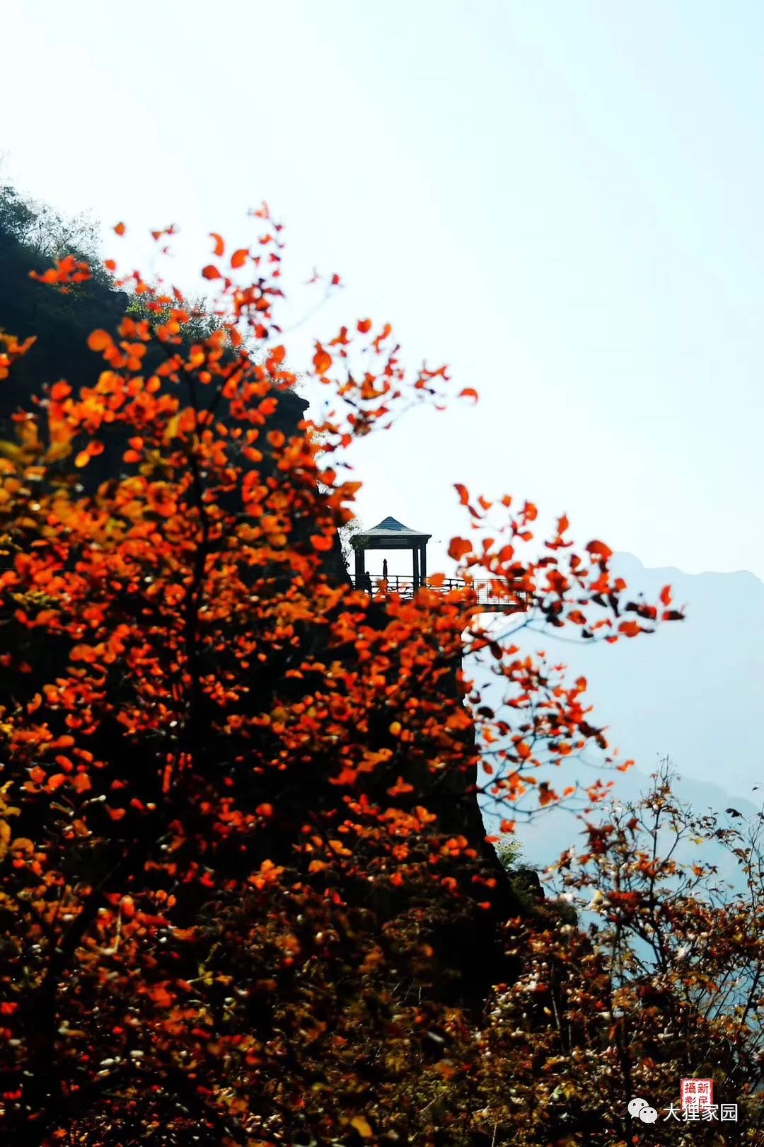 带娃的日子有滋有味,为什么别人的日子过得有滋有味儿