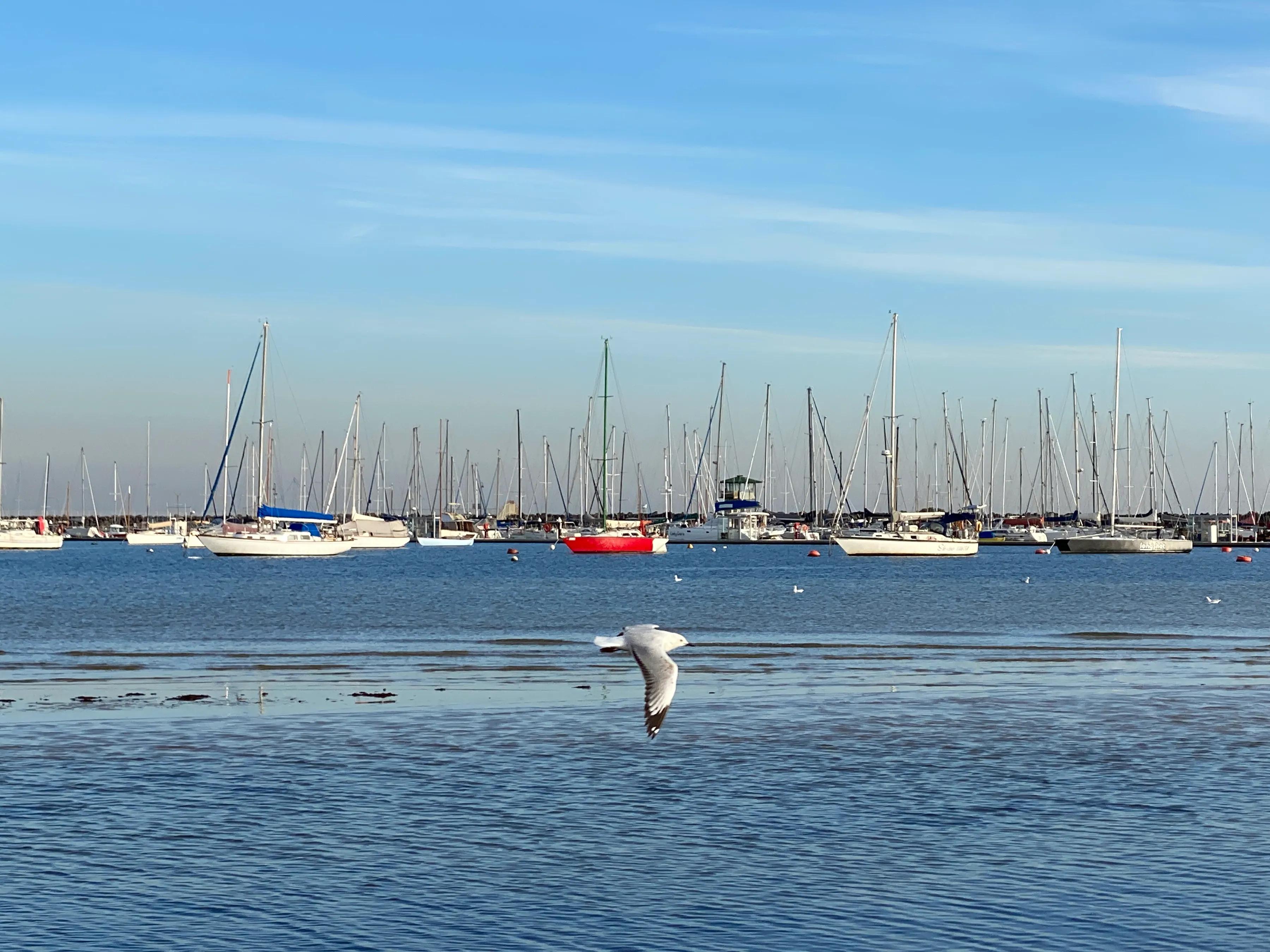 手拍世界作品集402期,2022年世界手机摄影大赛征稿