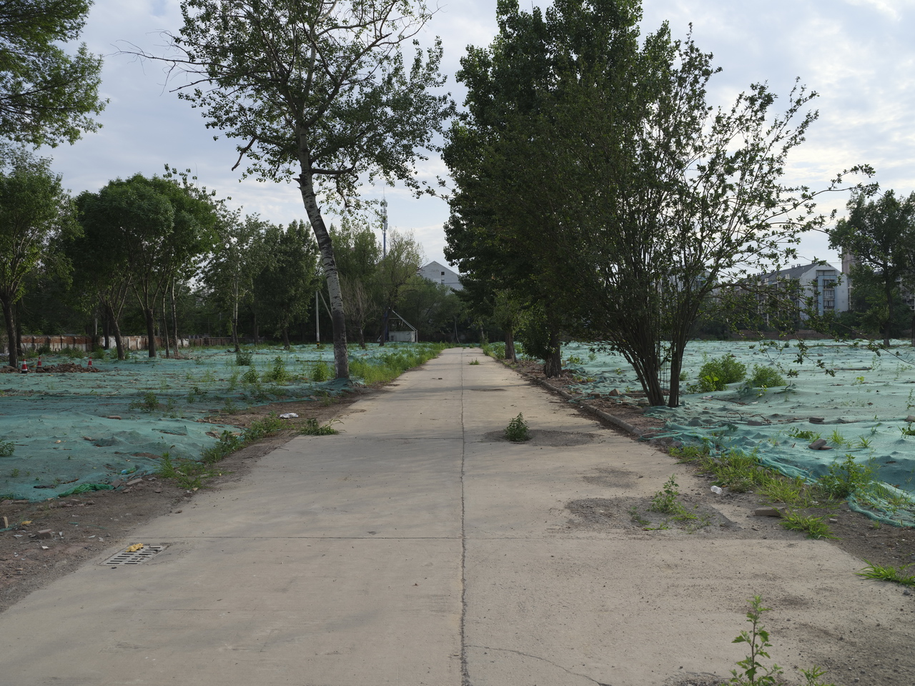 天津动力机厂下岗职工,天津动力机厂在哪