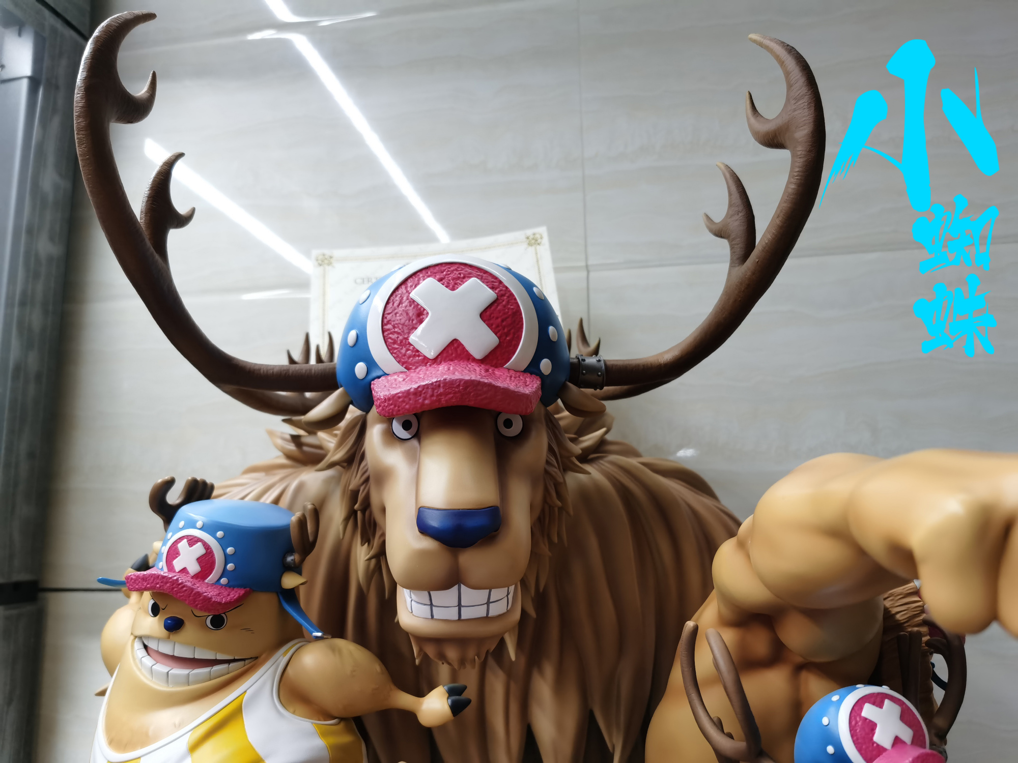 t社乔巴测评,t社同款乔巴