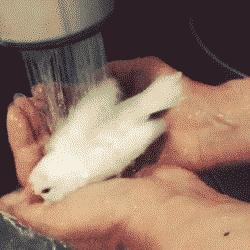 投影仪怎么完美匹配幕布,投影仪颜色调整方法