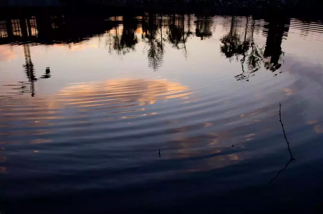 如果有一天累了就回老家到处走走,如果有一天累了就回来吧