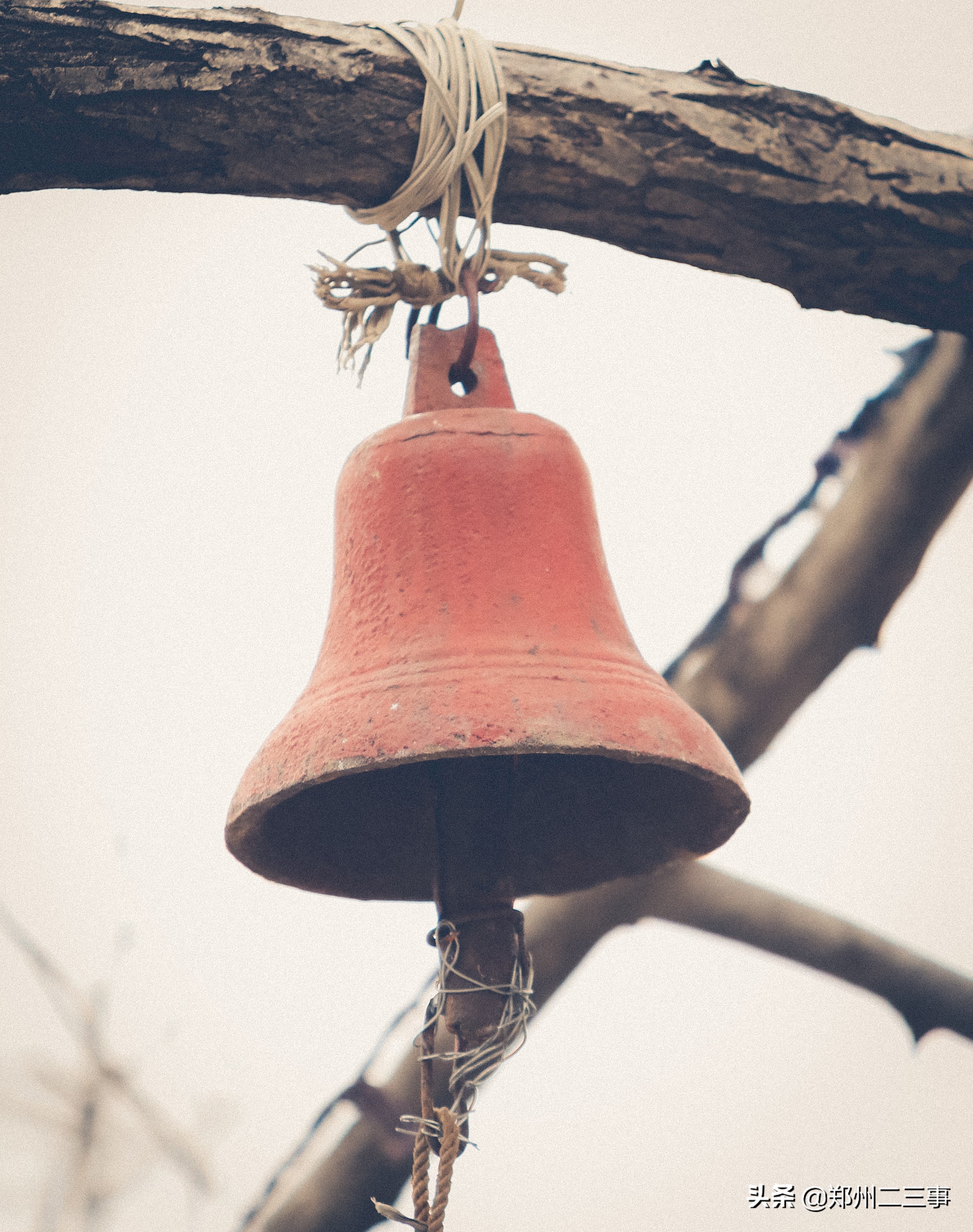 郑州惠济区免费遛娃好去处植物园,郑州遛娃踏青好去处