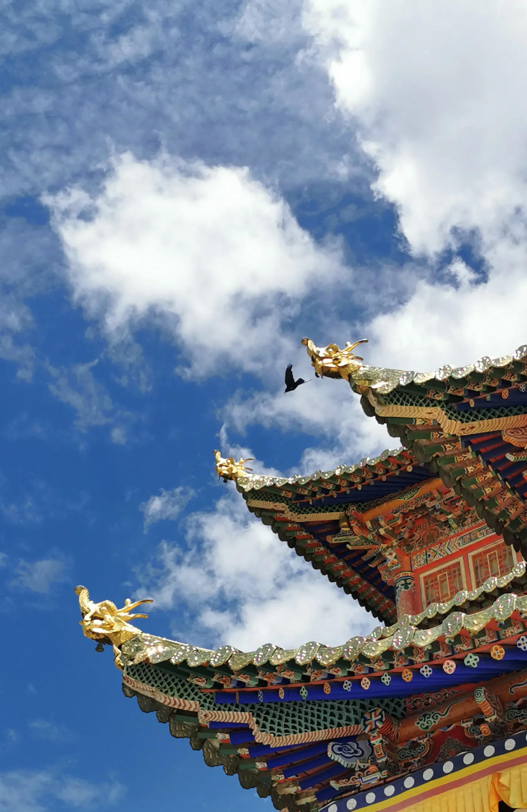 手机摄影手册圈友作品选第7期,手机摄影手册圈友作品选第6期