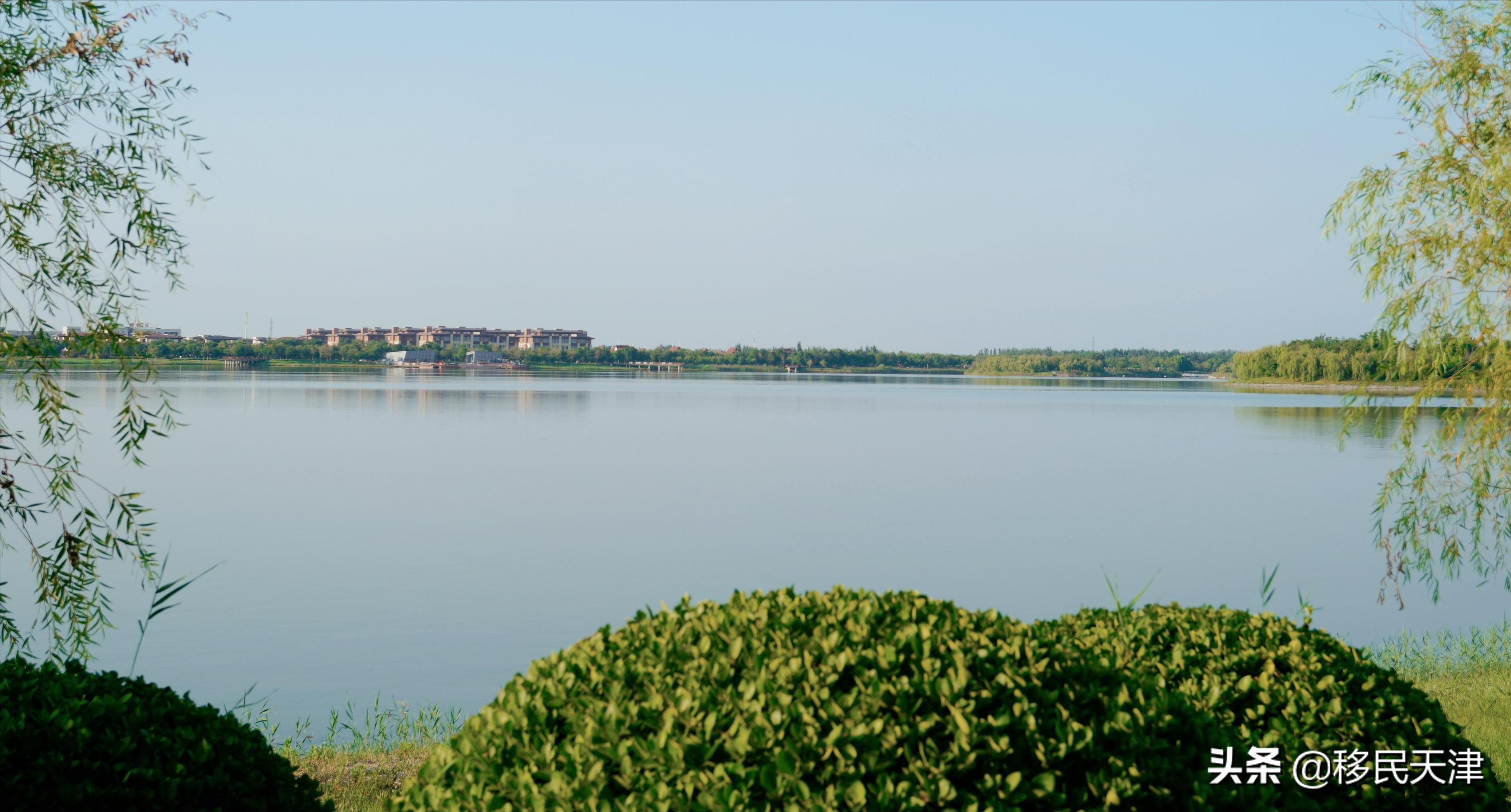 天津武清区最新买房政策,武清南湖房价下跌最惨一览表