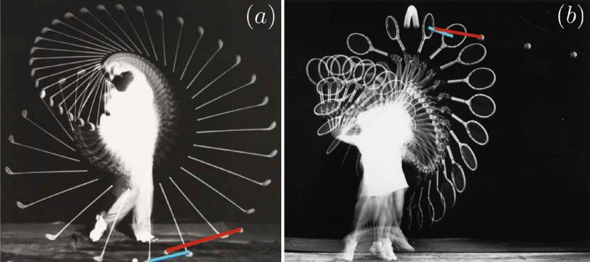 奥运会速度最快的球,奥运比赛哪个泳姿最快