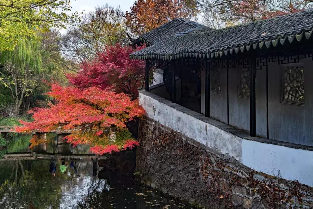 探访苏州老景区拙政园,苏州拙政园因谁出名