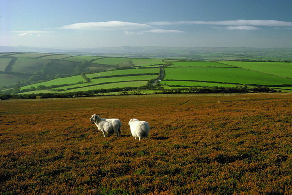 家庭农场农民补贴申请流程,2022年家庭农场申请补贴