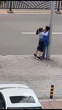 搞笑动图gif猫咪,搞笑动图gif狗