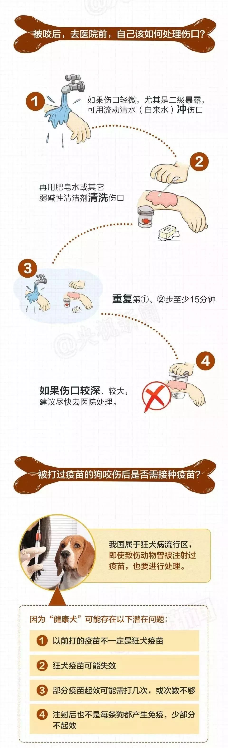 与狗狗玩耍时不小心被狗狗刮伤,养狗不拴绳一家三口遭恶犬咬伤