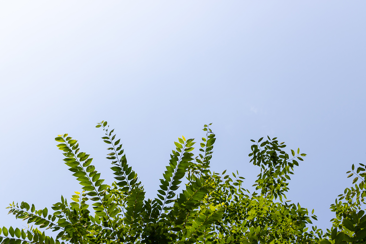 佳能eosr5城市延时视频拍摄体验,佳能eos750d的优缺点