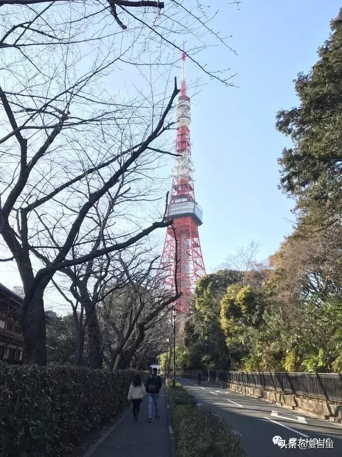 东京六本木地图,东京六本木街区