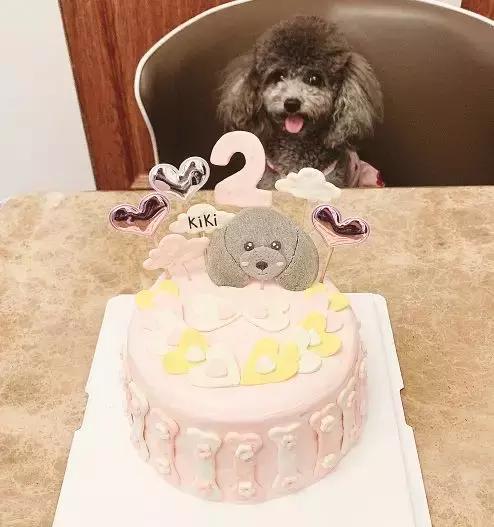 「活动」表达爱的方式有很多，选择联萌宠物餐厅是最直接的一种